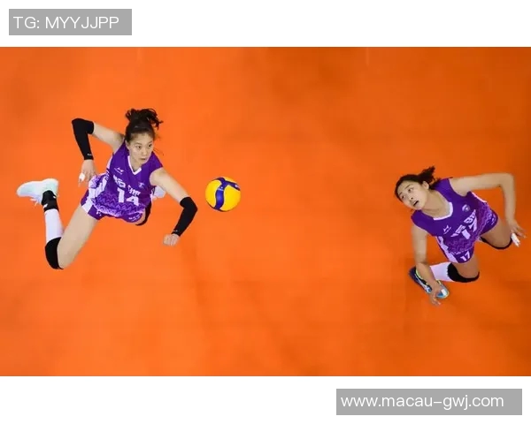 北京排球队中路突破的秘密与战术解析深度剖析排球竞技的魅力与挑战 北京排球队中路突破的秘密与战术解析深度剖析排球竞技的魅力与挑战