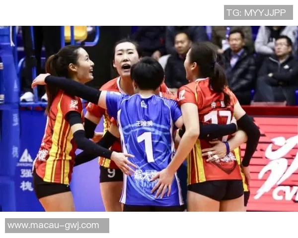 南京排球队与广州排球队的巅峰对决赛后分析与力量对比