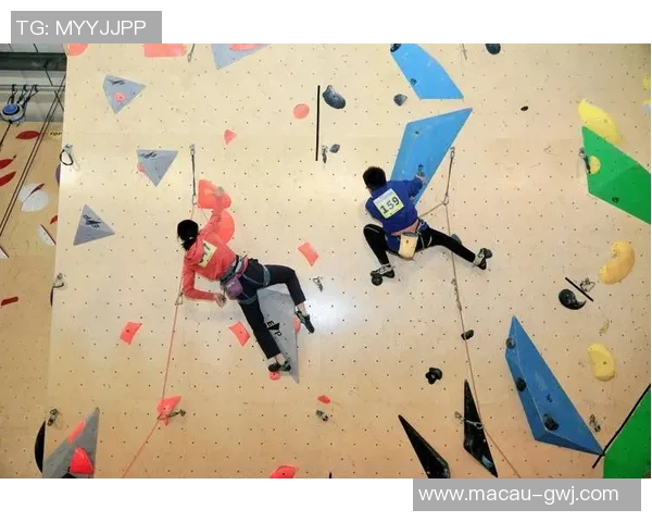 杭州攀岩队团队协作能力大幅提升荣获全国攀岩赛事新高排名 杭州攀岩队团队协作能力大幅提升荣获全国攀岩赛事新高排名