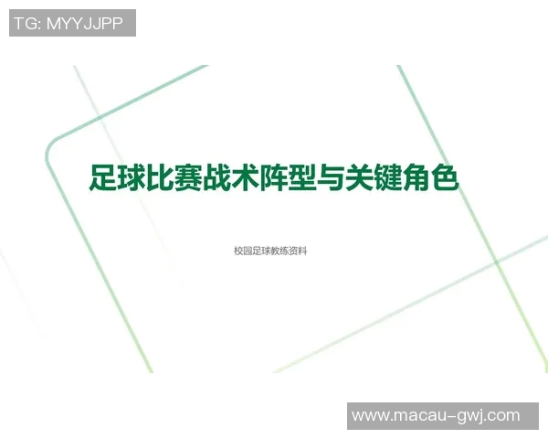 武汉足球队比赛经验分享:从赛场到战术的深度解析与反思 武汉足球队比赛经验分享:从赛场到战术的深度解析与反思