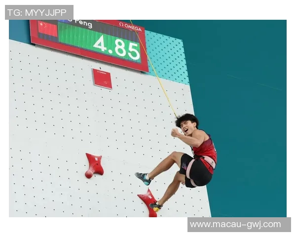 西安攀岩队心理素质分析及其对竞技表现的影响研究 西安攀岩队心理素质分析及其对竞技表现的影响研究