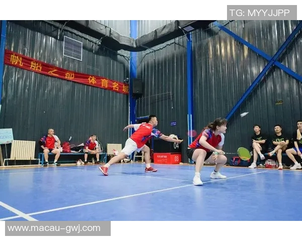 羽毛球专题：深入探讨杭州羽毛球队的默契配合与战术协作