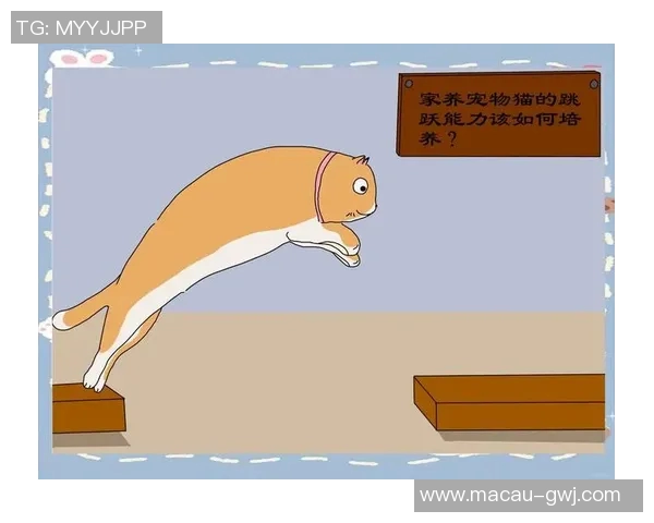 从零开始掌握足球技巧与力量训练的全面指南