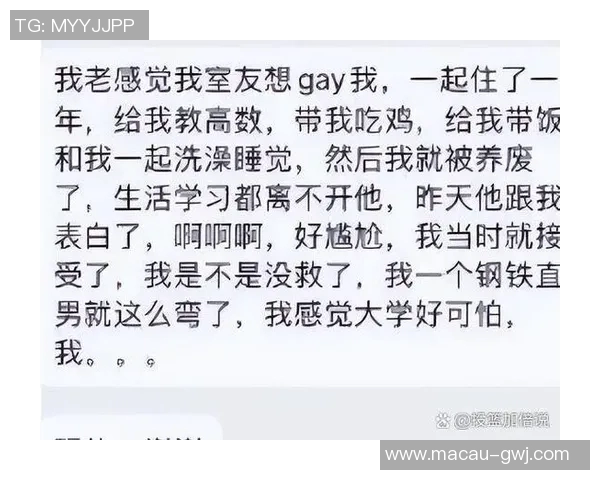 专访赵磊：深入探讨篮球背后的成功秘诀与成长历程