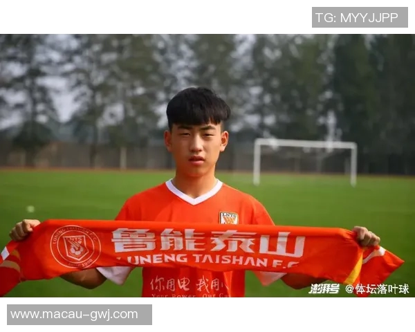 南京乒乓球队在杯赛积分榜中以61分稳居第一名展现强劲实力 南京乒乓球队在杯赛积分榜中以61分稳居第一名展现强劲实力