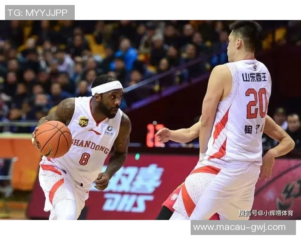 南京羽毛球队在全国锦标赛积分榜上以65分稳居第一名,展现强劲实力 南京羽毛球队在全国锦标赛积分榜上以65分稳居第一名,展现强劲实力