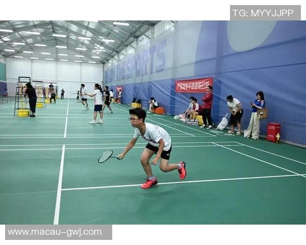 成都羽毛球队如何实现速度变革引发热议与关注