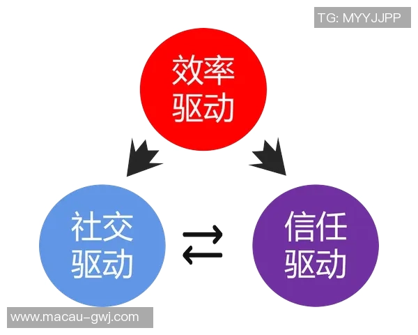 成都篮球队运营分析：成功经验与面临挑战的深度探讨