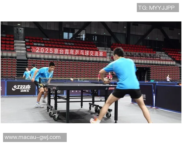 聚焦乒乓球：探讨成都乒乓球队在速度训练中的创新与成就