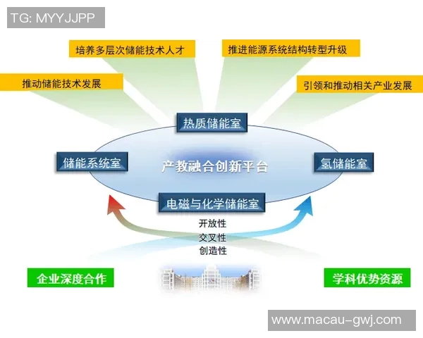 西安飞盘队的转型之路与发展趋势深度解析 西安飞盘队的转型之路与发展趋势深度解析