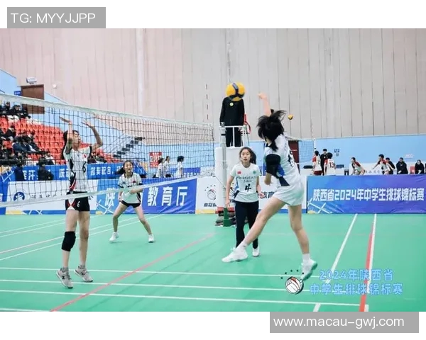 西安排球队在排球意识排行榜中荣登第五名展现出强大实力与团队合作精神