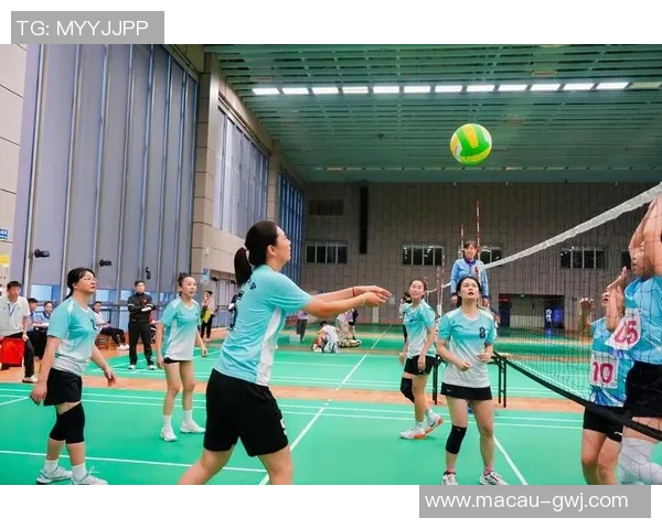 重庆排球队心理素质创新高助力排球竞技水平全面提升