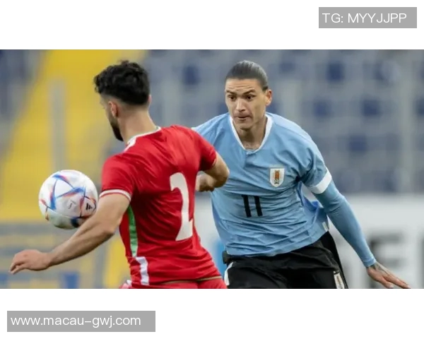 努涅斯在赛场上的崛起与挑战分析：从新星到顶级前锋的蜕变之路