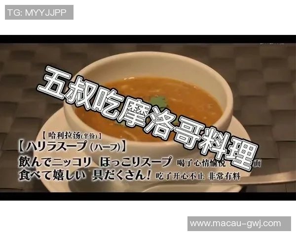 摩洛哥与伊朗精彩对决优酷直播全程回放与分析