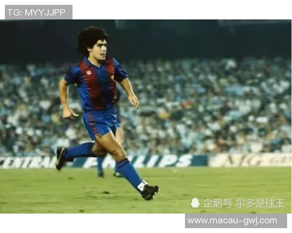 本泽马：从天才少年到足坛巨星的辉煌旅程与传奇故事