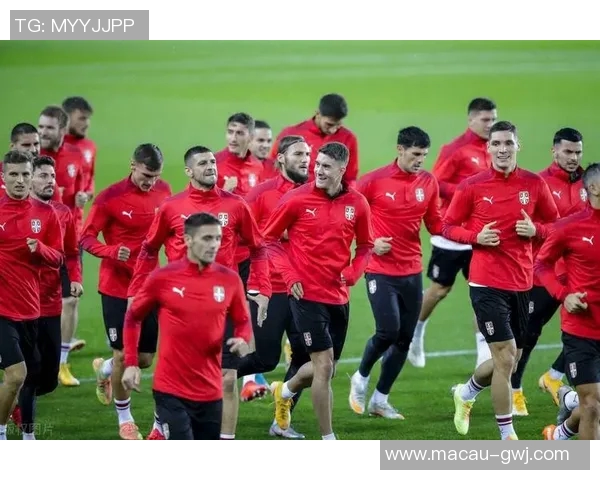 白俄罗斯与挪威足球对决精彩回顾及赛后分析