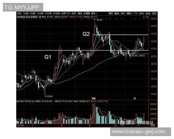 谢菲尔德对阵利兹的精彩直播全程回顾与分析