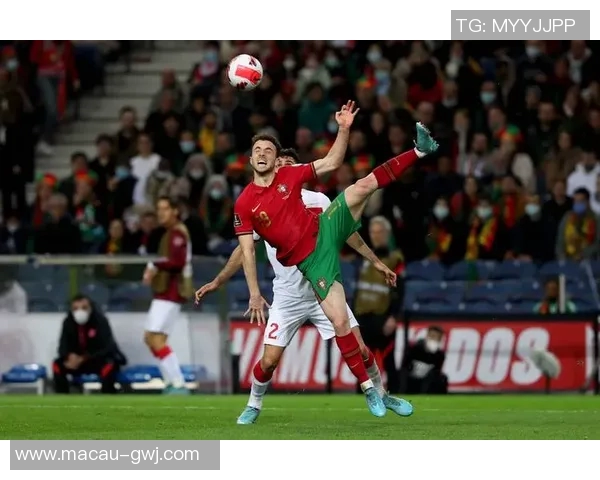 葡国民与波尔图的激烈对决揭示了葡萄牙足球的魅力与竞争力