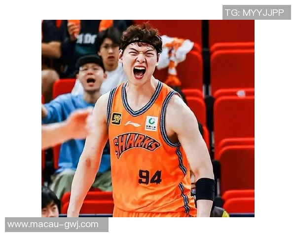 王哲林在CBA赛场的崛起与挑战解析，展望未来篮球生涯的无限可能性