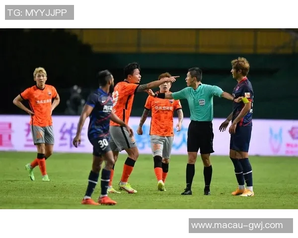 2017年广东队与深圳队半决赛精彩回顾与赛场瞬间分析 2017年广东队与深圳队半决赛精彩回顾与赛场瞬间分析