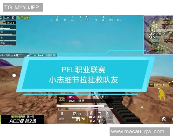 和平精英纪实:深入探讨RNG战队的蜕变与未来发展之路MBA 和平精英纪实:深入探讨RNG战队的蜕变与未来发展之路MBA