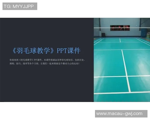 成都羽毛球队整体压制打法深度分析与战术解读 成都羽毛球队整体压制打法深度分析与战术解读