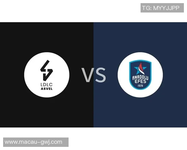 艾菲斯队与里昂的激烈对决谁能在这场较量中脱颖而出