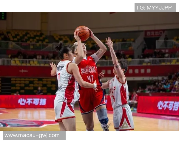篮球明星展现风采女子打篮球的魅力与力量之旅