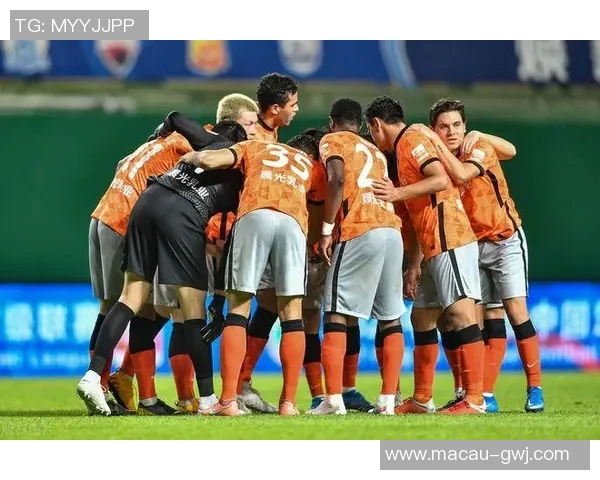 深圳网球队战术解析与对比分析全面解读球队优势与不足