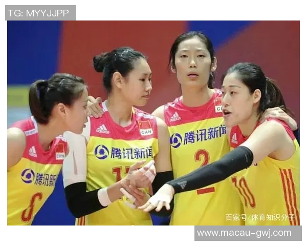 深圳排球队战术争议引发热议球迷与专家观点交锋解析