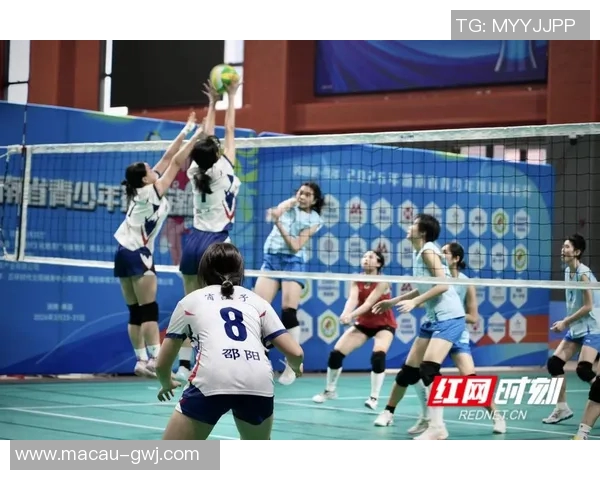 武汉排球队的耐力挑战与训练探索聚焦排球运动的未来发展