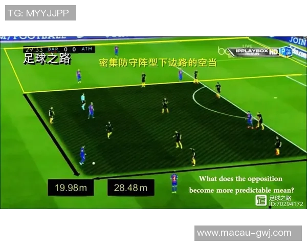 深入分析TES的区域防守策略与战术执行细节